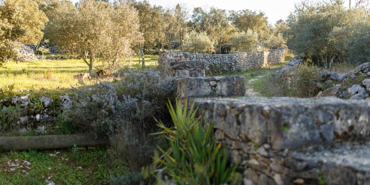 Quinta Dos Canteiros Φάτιμα Εξωτερικό φωτογραφία