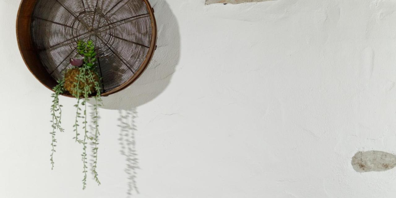 Quinta Dos Canteiros Φάτιμα Εξωτερικό φωτογραφία